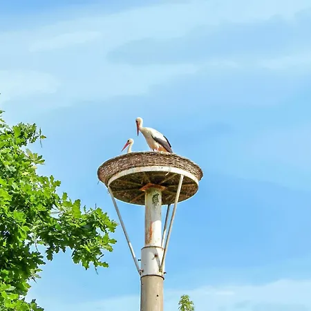 Ferienwohnung Ankershagen * Ankershagen